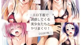 【中出し】 エロ下着で誘惑してくる美少女たちとヤリまくり！ 【d_497643】