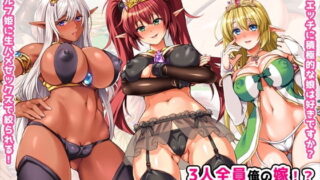 【中出し】 3人全員俺の嫁！？ 美少女エルフと孕ませハーレム！ 【d_145991】