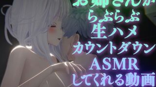 【中出し】 【AVtuberX3Dアニメ】お姉さんがららぶらぶ生ハメカウントダウンASMRしてくれる動画（4K）【雅乃つむぎさん】 【d_533835】