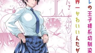 【中出し】 オレの王子様系幼馴染が世界一かわいいんだが 【d_565474】
