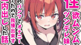 【中出し】 性欲ムンムンツンデレ妹が俺のパンツでオナニーしてたので我慢出来ず膣内出しした話 【d_551816】