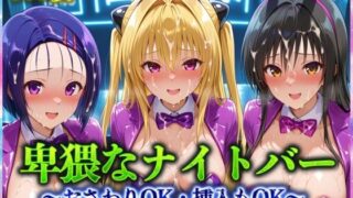 【中出し】 卑猥なナイトバー  〜おさわりOK・挿入もOK〜 Vol.1 【d_570754】
