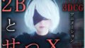 【中出し】 2BとせっX -3DCGアニメーション-  完全版 【d_572116】