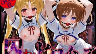 【中出し】 囚われヒロインズ フェ〇トとな〇は編 【d_572219】