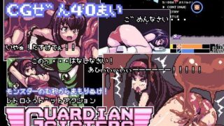 【中出し】 GUARDIAN SISTERS 【d_119829】