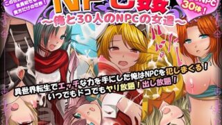 【中出し】 NPC姦〜俺と30人のNPCの女達〜 【d_229698】