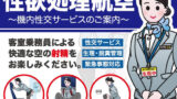 【中出し】 性欲処理航空〜機内性交サービスのご案内〜 【d_277205】