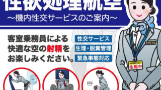 【中出し】 性欲処理航空〜機内性交サービスのご案内〜 【d_277205】