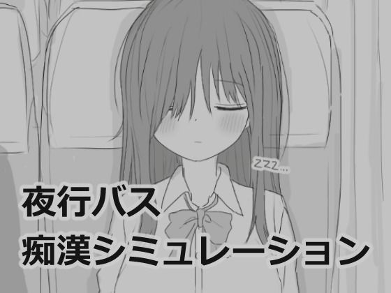 【中出し】 夜行バス痴●シミュレーション 【d_532880】