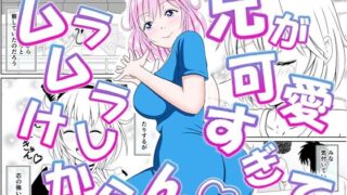 【中出し】 兄が可愛すぎてムラムラけしからん 【d_575844】