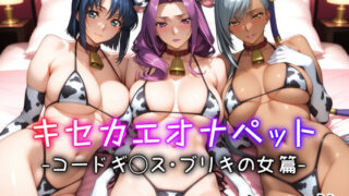 【中出し】 キセカエオナペット -コードギ◯ス・ブリキの女篇- 【d_598726】