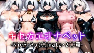【中出し】 キセカエオナペット -NieR Aut◯mata・2◯篇- 【d_613902】