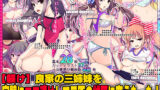【中出し】 【躾け】良家の三姉妹を完璧にエロ漬けして三匹の雌豚に変えたった 【d_078762】