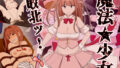 【中出し】 魔法少女敗北ッ 【d_239486】