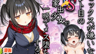 【中出し】 セックスが嫌いなジト目TS家出少女が一晩でメス堕ちする話 【d_613047】