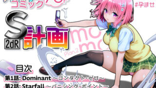 【中出し】 S計画.2 〜第3王女・モモ、奴◯堕ち〜 【d_589813】