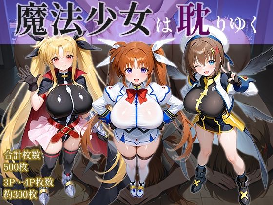 【中出し】 魔法少女は耽りゆく 【d_642466】