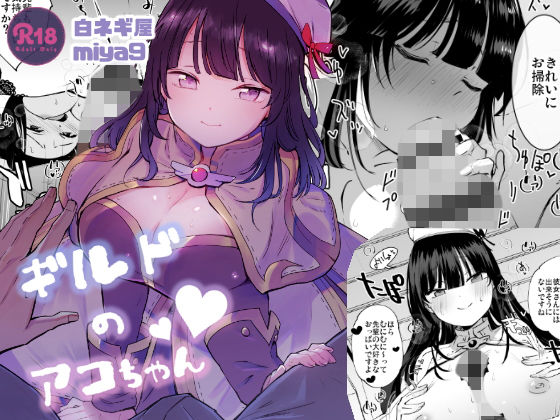 【中出し】 ギルドのアコちゃん 【d_160296】