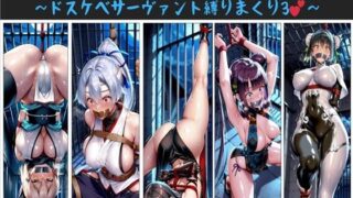 【中出し】 俺の拘束ハーレム食べ比べ定食 vol.9 〜ドスケベサーヴァント縛りまくり3〜 【d_654069】
