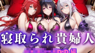 【中出し】 寝取られた上流貴族妻  邸宅の奥で抱かれる  〜令嬢は今宵、快楽に堕ちる〜  ハイ〇クールD×D編 【d_660814】