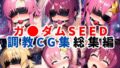 【中出し】 ガ●ダムSEED調教CG集総集編【全4キャラ 1000枚/ラ●ス/ルナマ●ア/ミ●ア/カ●リ】 【d_634196】